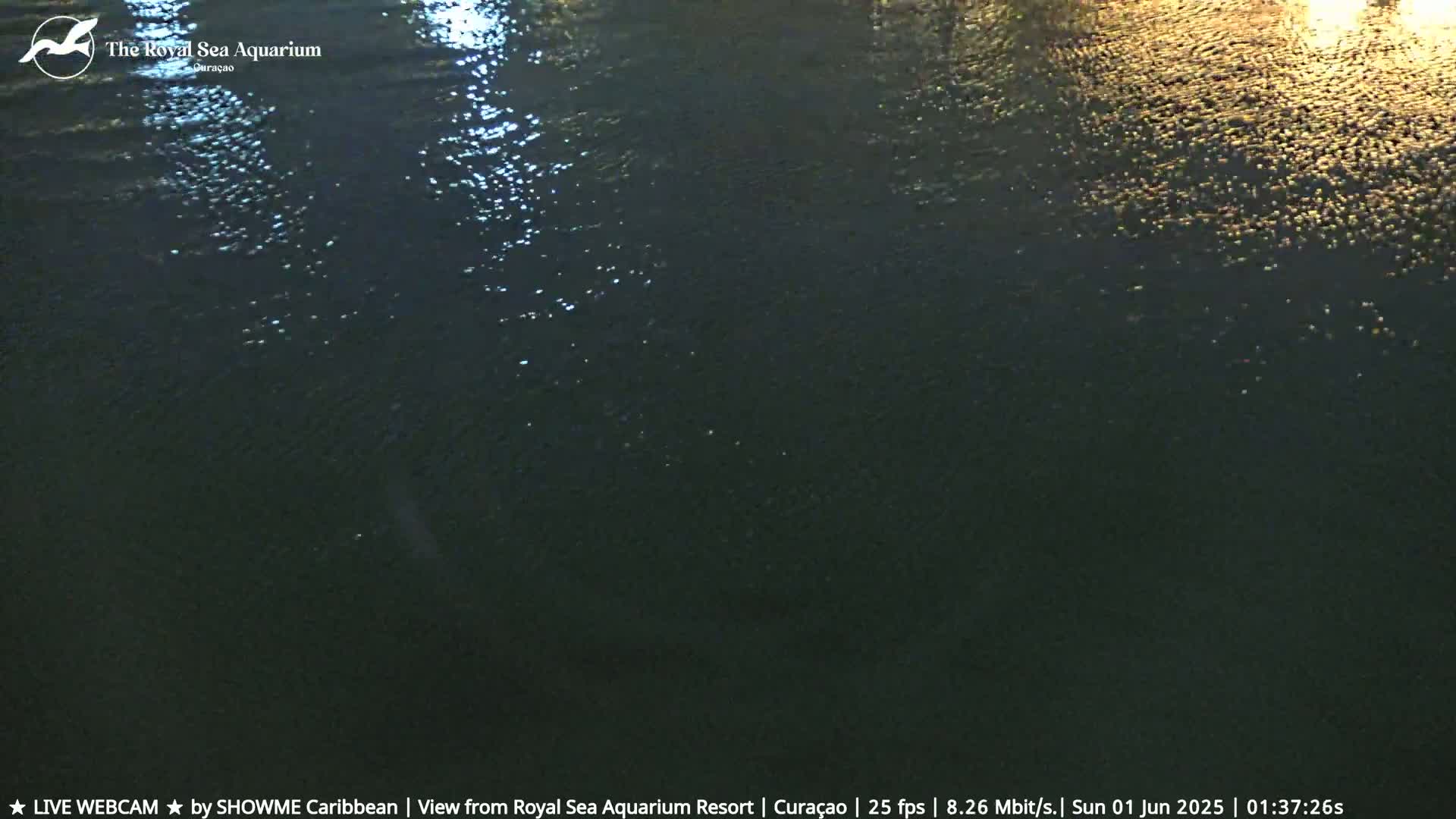 Willemstad, The Royal Sea Aquarium Resort Beach Live Cam - Willemstad, Curacao, Netherland 