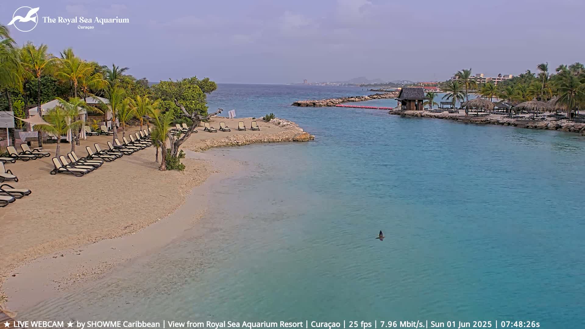 A sandy beach with lounge chairs, palm trees, and a small building is situated next to calm, clear turquoise water under a mostly cloudy sky.
