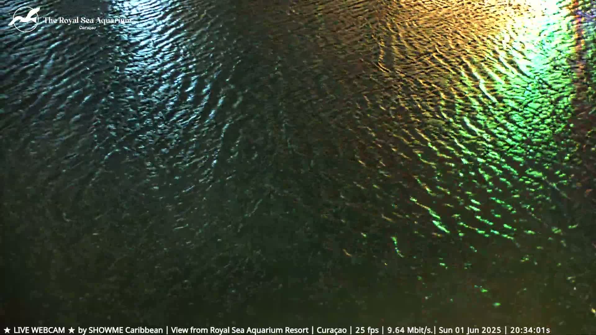 Dark, gently rippling water is illuminated by multicolored lights.
