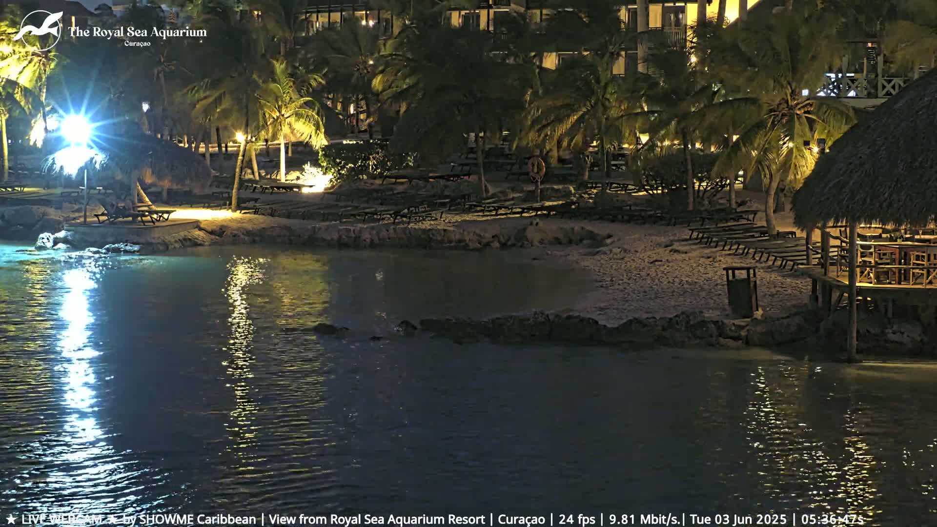 A nighttime view of a calm body of water next to a beach with lounge chairs and thatched-roof structures under palm trees, illuminated by artificial lights.