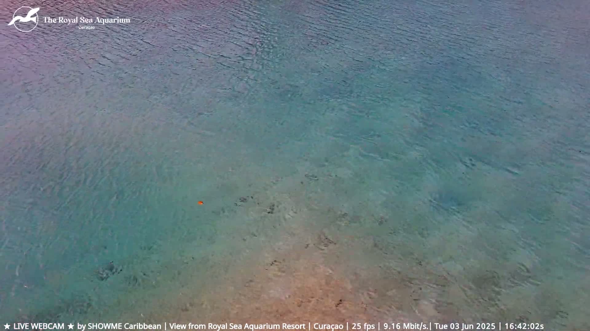 A calm, shallow body of clear, teal water is visible from a high angle.