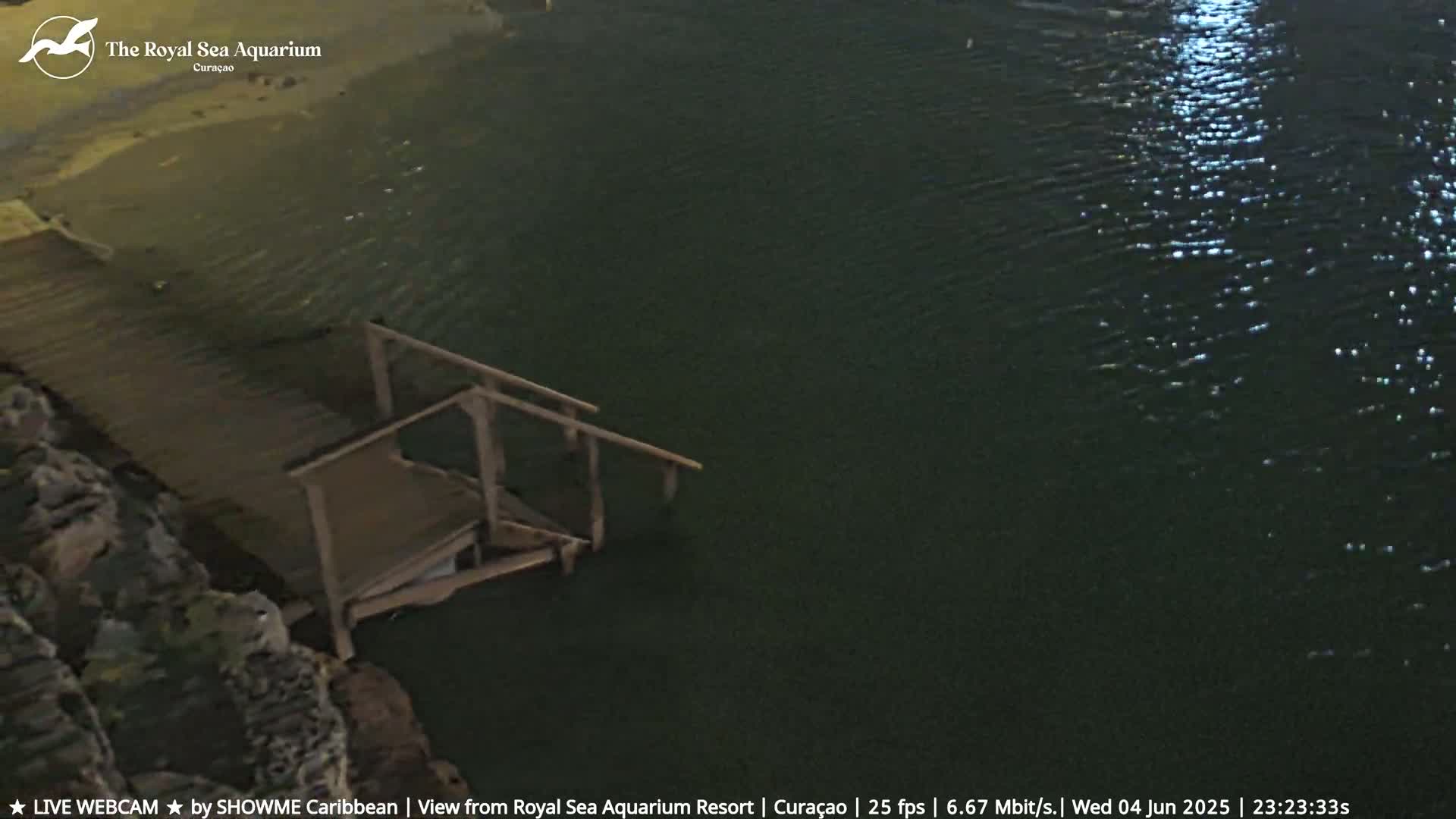 A nighttime aerial view shows a dark wooden staircase leading down to dark water with a slight ripple.