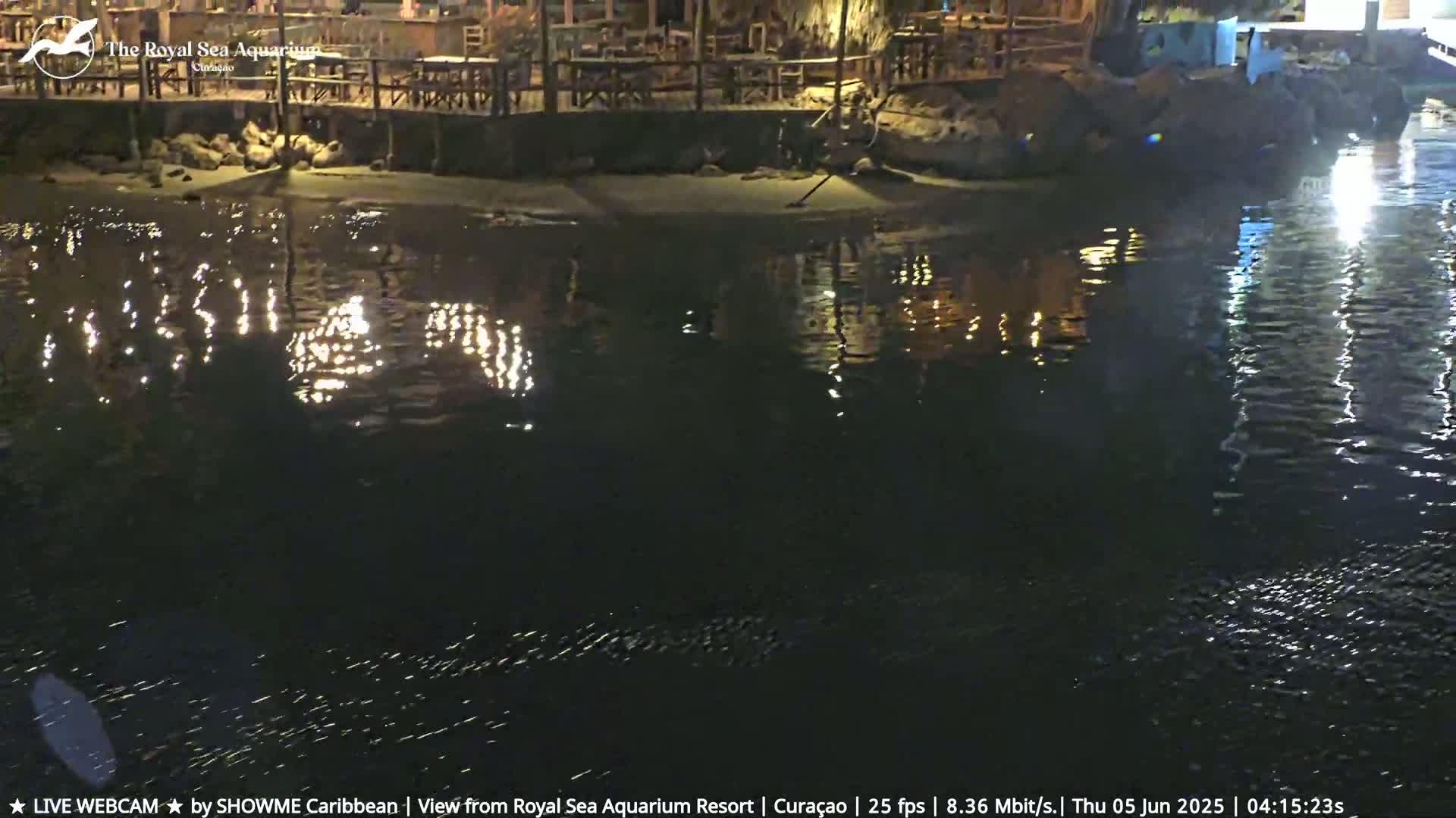 Reflective lights shimmer on dark water in front of a nighttime waterfront restaurant.