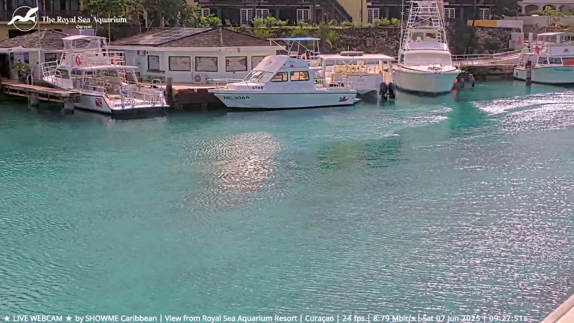 Several boats are docked in a calm, teal-colored body of water near a building.