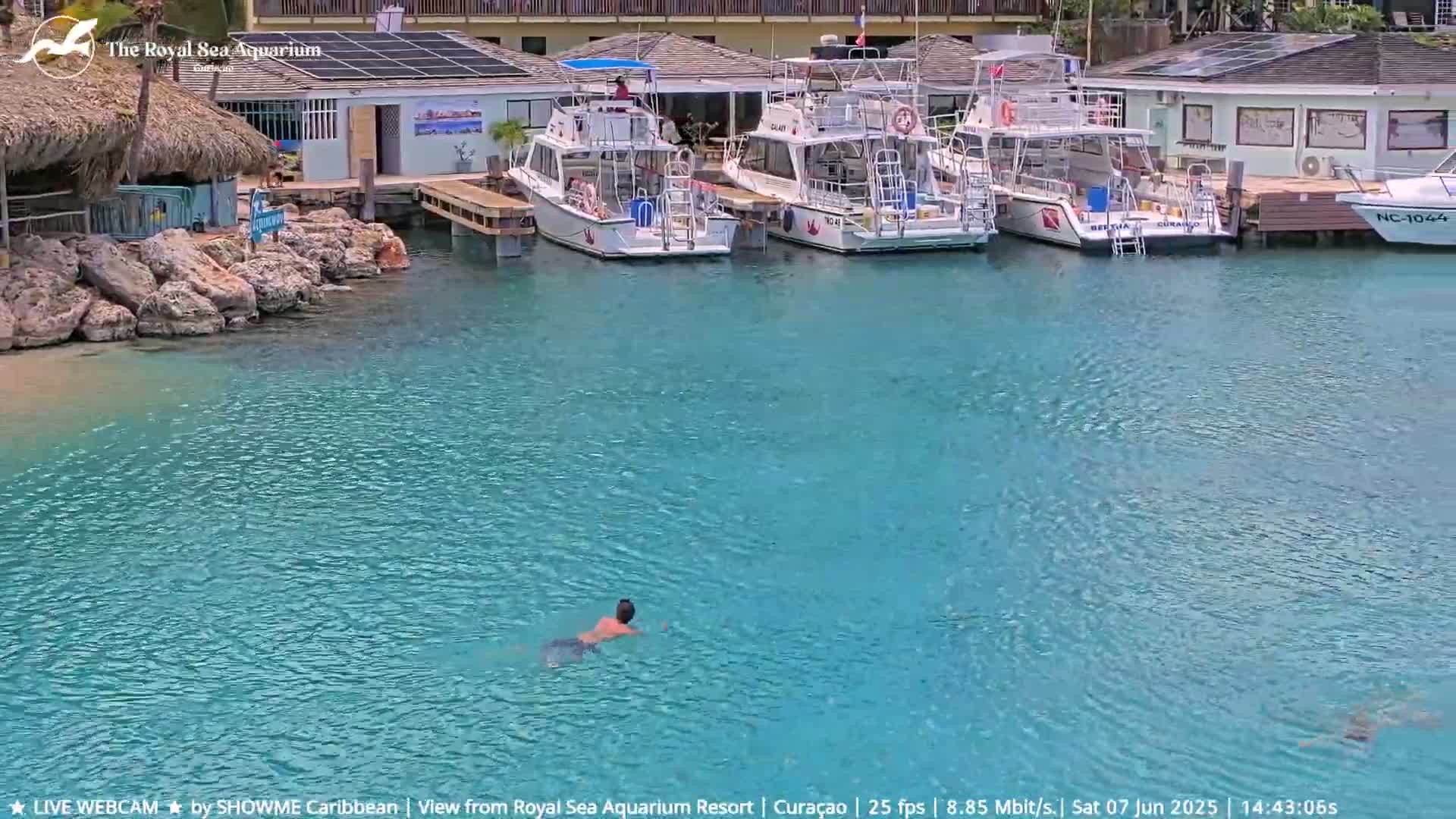 A person swims in calm, turquoise water near a dock with several boats moored beside buildings.