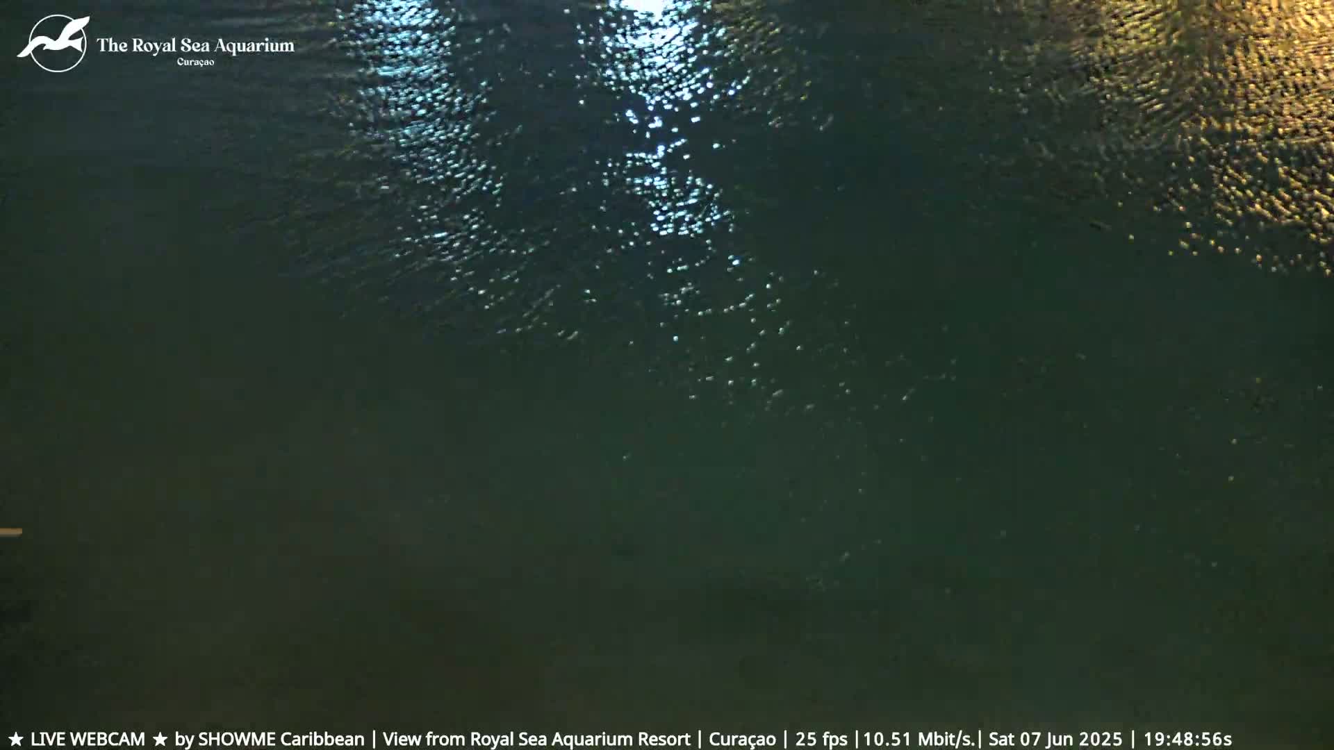 A dark body of water at night reflects light, showing slight ripples on the surface.