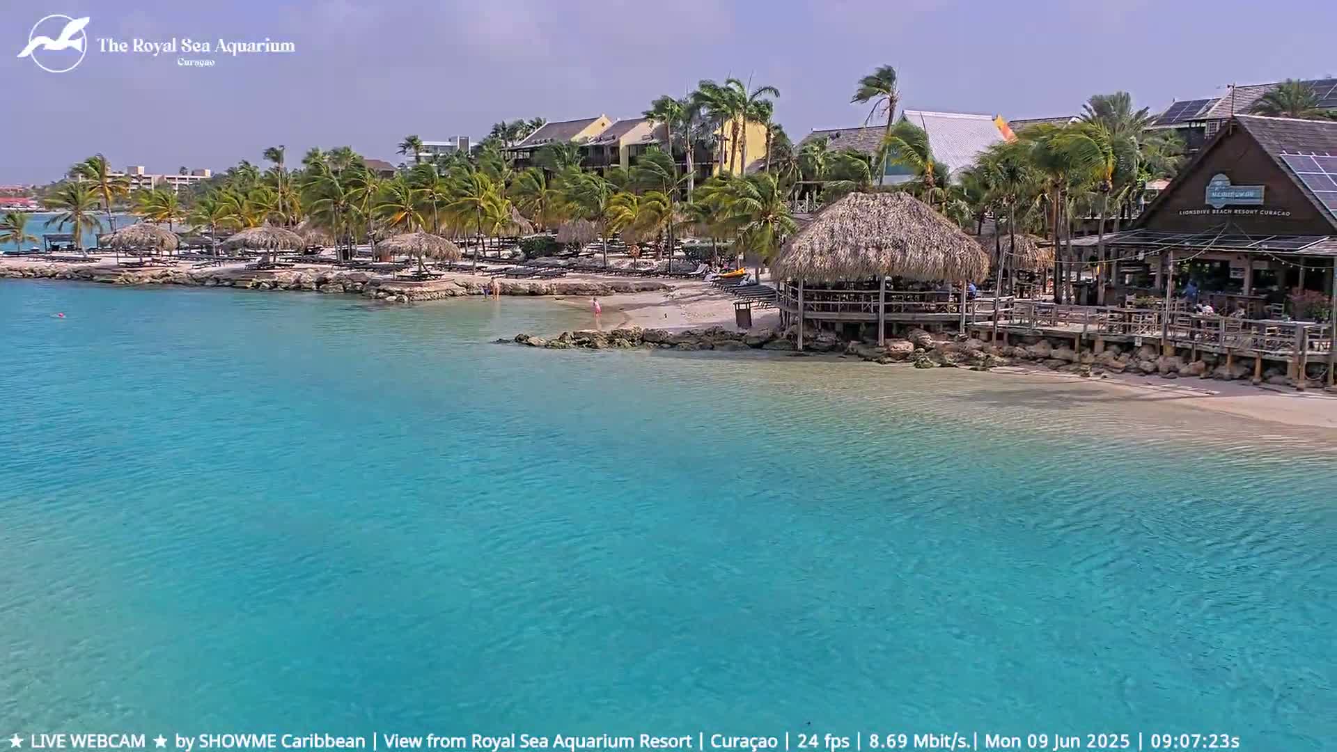 A beach scene with turquoise water shows a resort with palm trees, thatched-roof structures, and a beachfront restaurant under a partly sunny sky with a slight breeze.