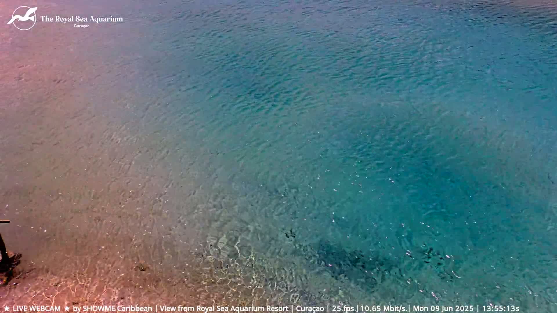 Shallow, clear turquoise water laps gently over a sandy shoreline.