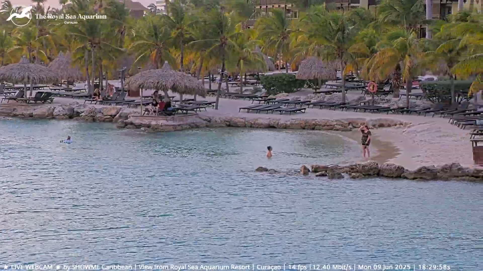 Willemstad, The Royal Sea Aquarium Resort Beach Live Cam - Willemstad, Curacao, Netherland 