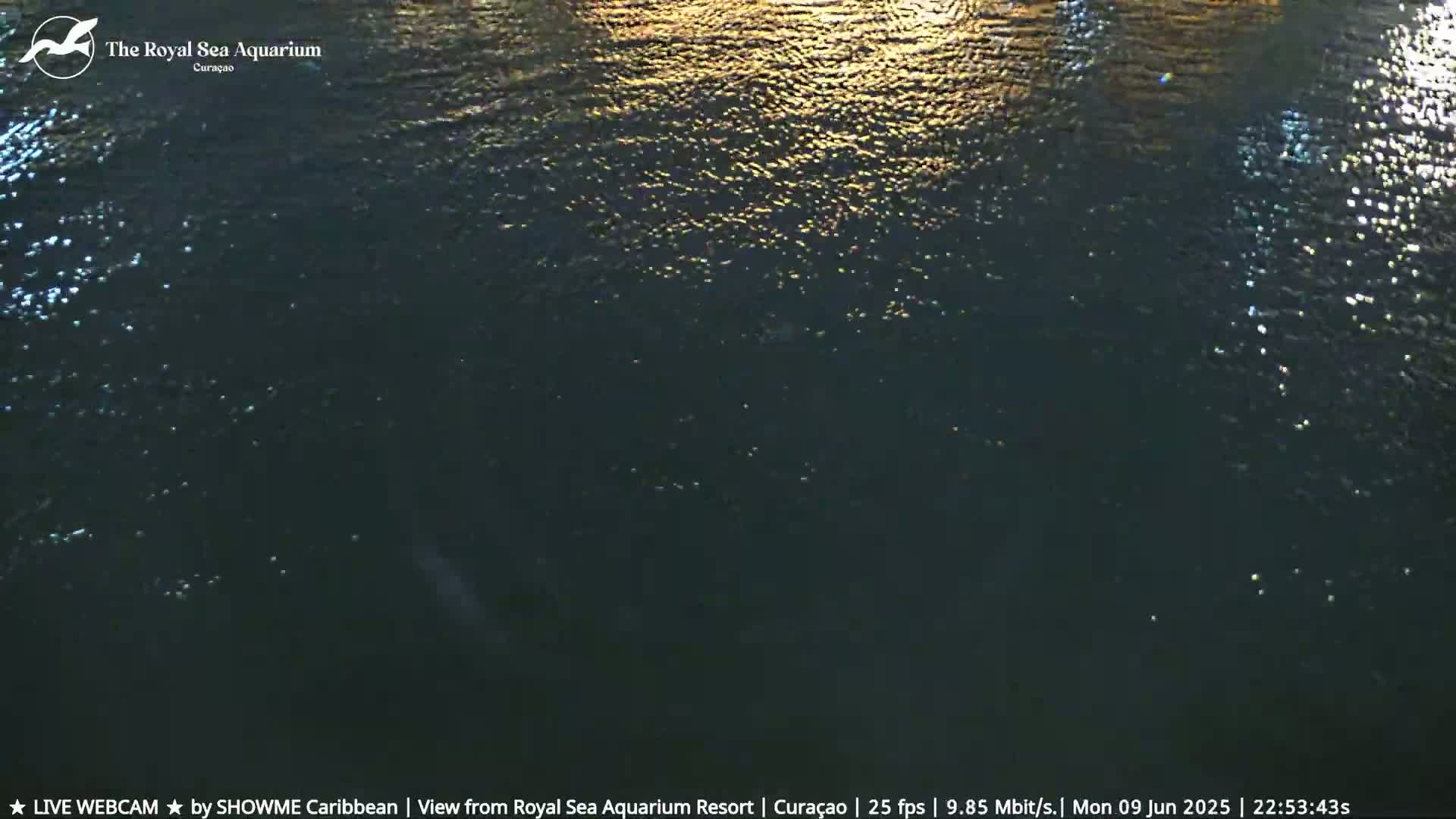 Willemstad, The Royal Sea Aquarium Resort Beach Live Cam - Willemstad, Curacao, Netherland 