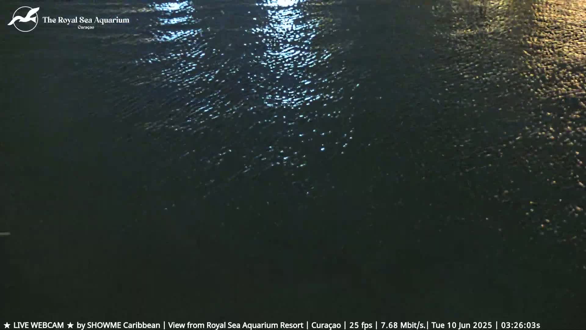 Dark water shimmers under a nighttime sky.