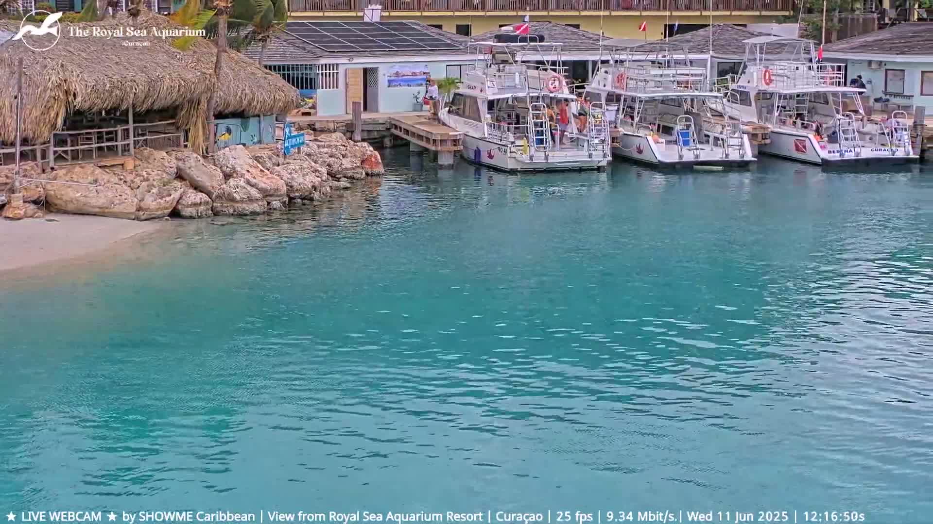 Several boats are docked at a marina next to a thatched-roof building and rocky shore, all surrounded by calm, turquoise water.