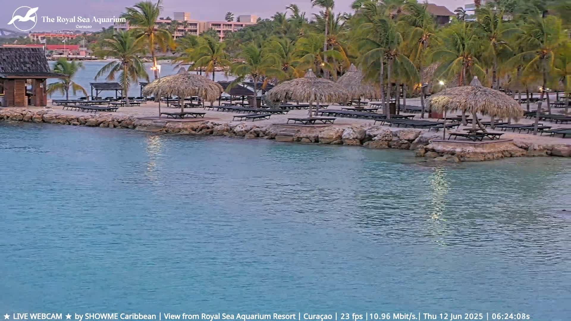 A tranquil beach scene with calm, turquoise water, palm trees, thatched-roof beach umbrellas, and lounge chairs under a twilight sky.