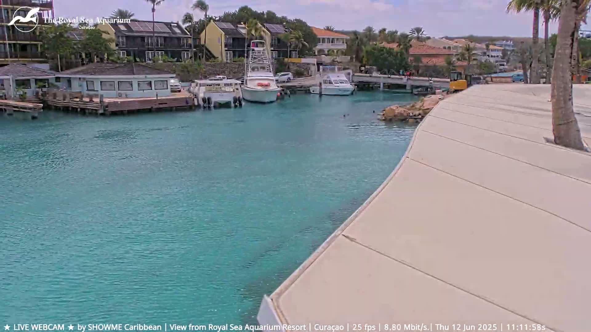 A marina with several boats docked, under a partly sunny sky, features turquoise water and a light beige walkway.