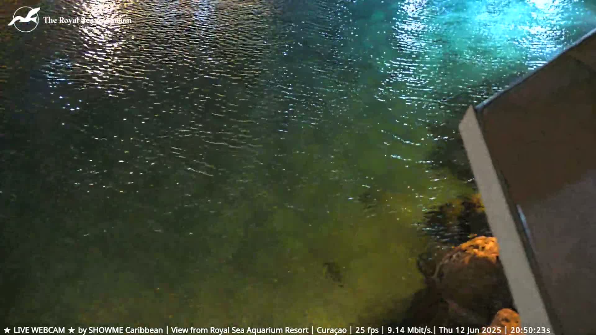 Willemstad, The Royal Sea Aquarium Resort Beach Live Cam - Willemstad, Curacao, Netherland 