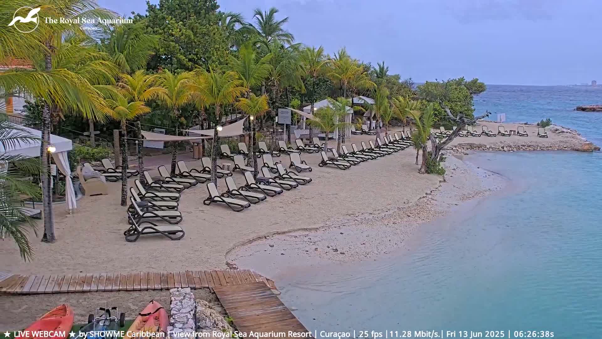 A sandy beach with numerous lounge chairs and palm trees under an overcast sky next to calm, turquoise water.