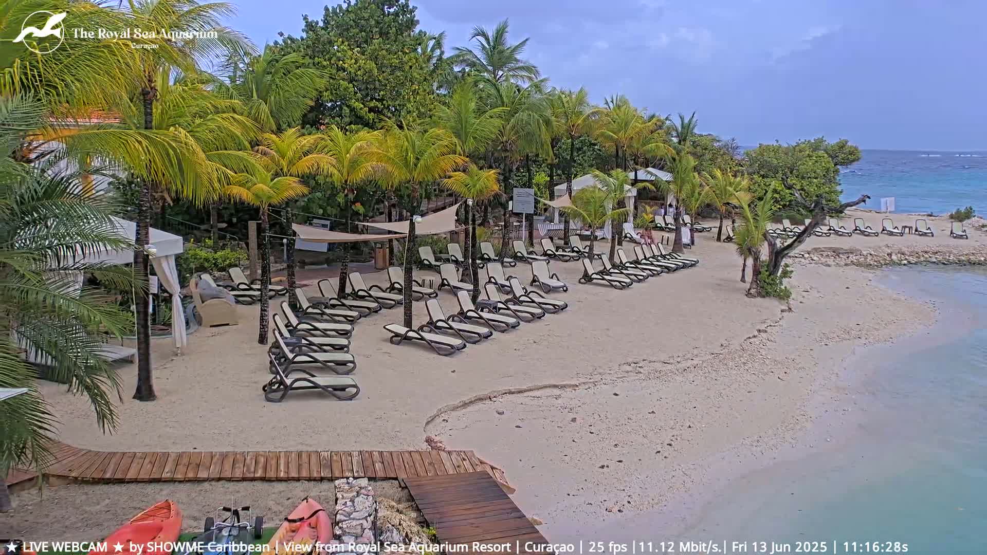 A sandy beach with numerous lounge chairs under palm trees, a wooden walkway, and calm ocean water under an overcast sky.