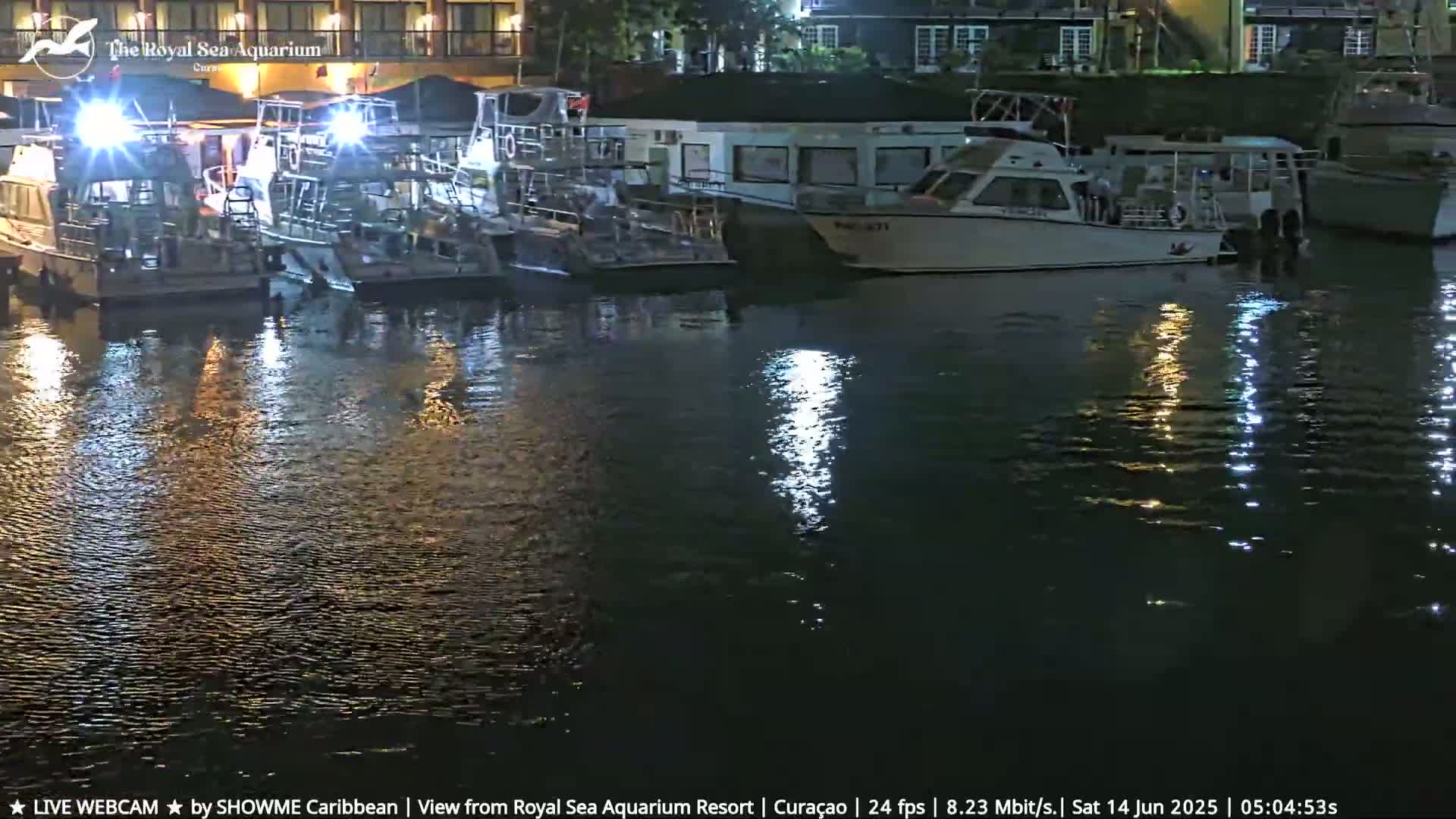 Several boats are docked at a marina at night, with calm water reflecting lights from nearby buildings.