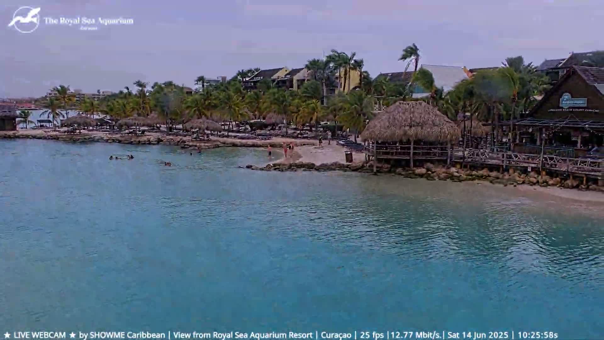 A beach with turquoise water, palm trees, beach huts, and several buildings is visible under a cloudy sky with a slight wind.