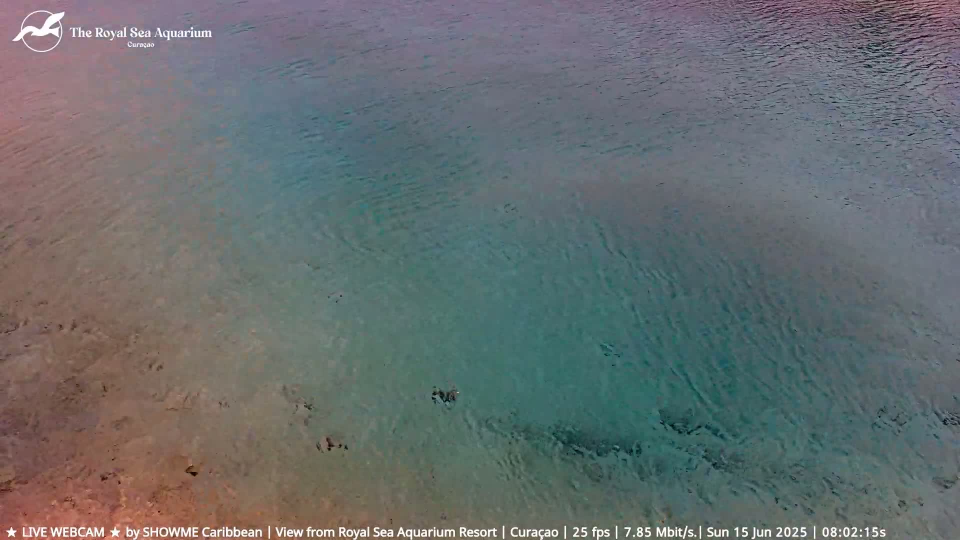 Shallow, calm water of varying shades of teal and tan is visible from an aerial perspective.