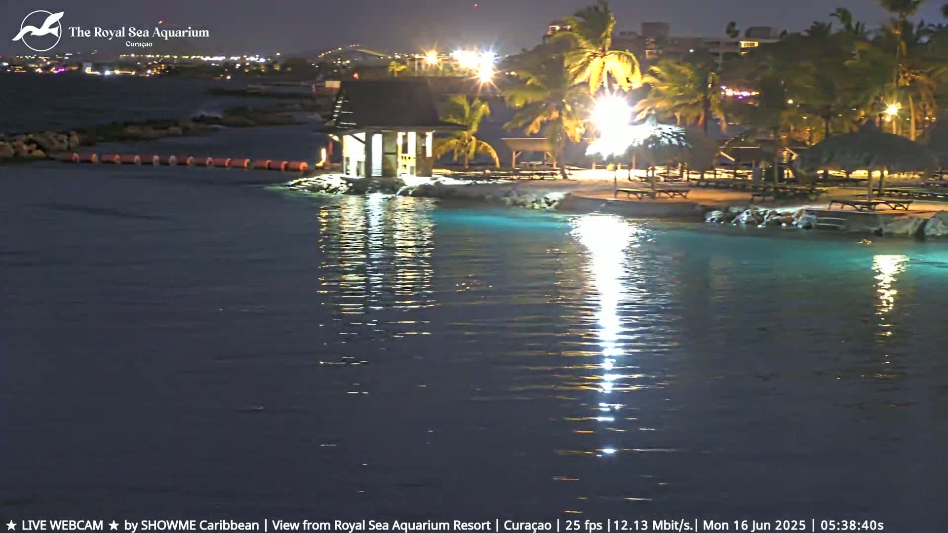 A nighttime view of a calm, illuminated body of water next to a beach with palm trees and an open-air structure.