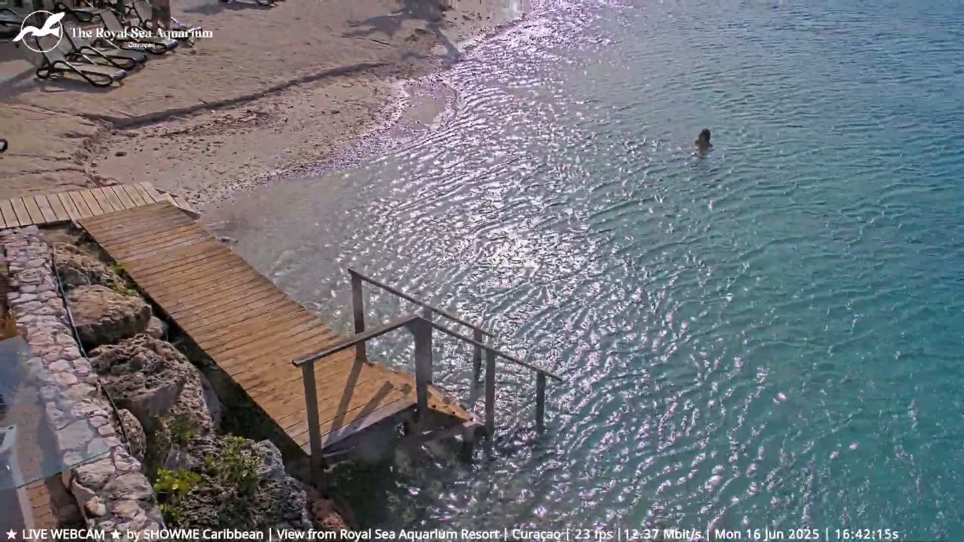Willemstad, The Royal Sea Aquarium Resort Beach Live Cam - Willemstad, Curacao, Netherland 
