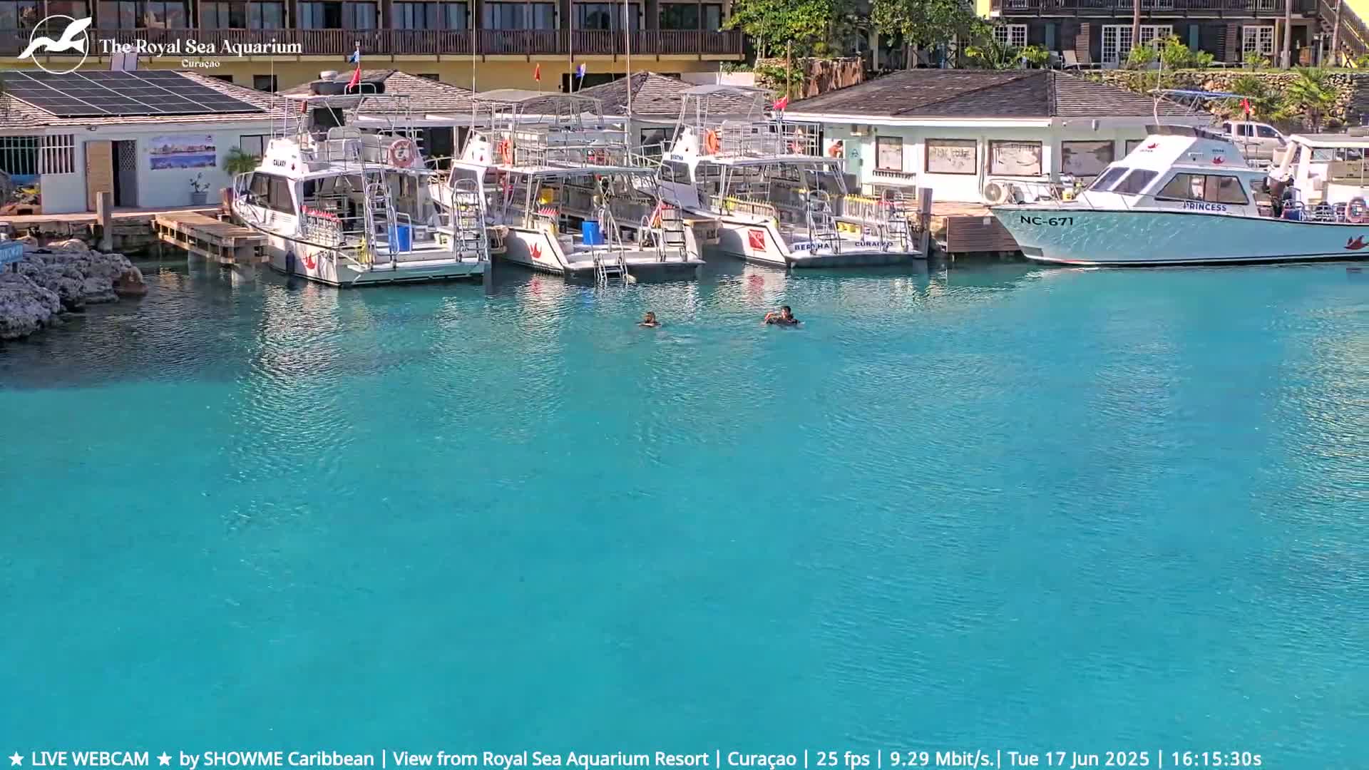 Several boats are docked at a marina with clear, turquoise water, and two people are swimming in the water.