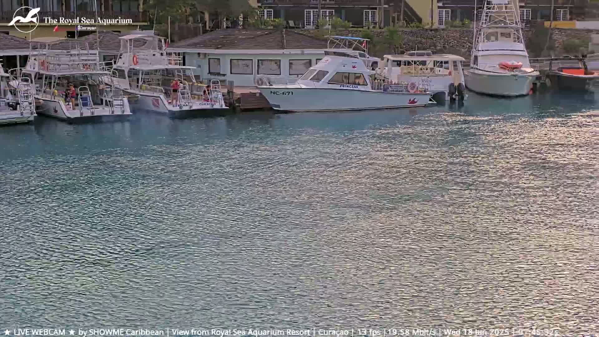 Several boats are docked at a marina on calm water.