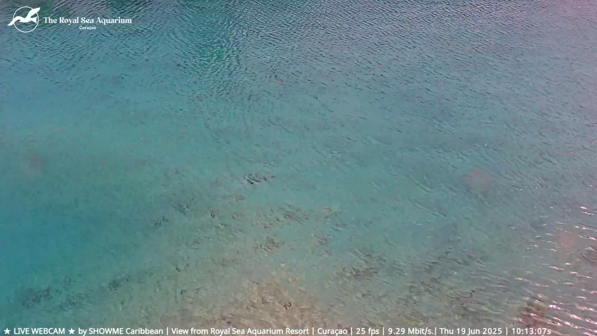 A calm, teal-colored body of water shows slight ripples on its surface.