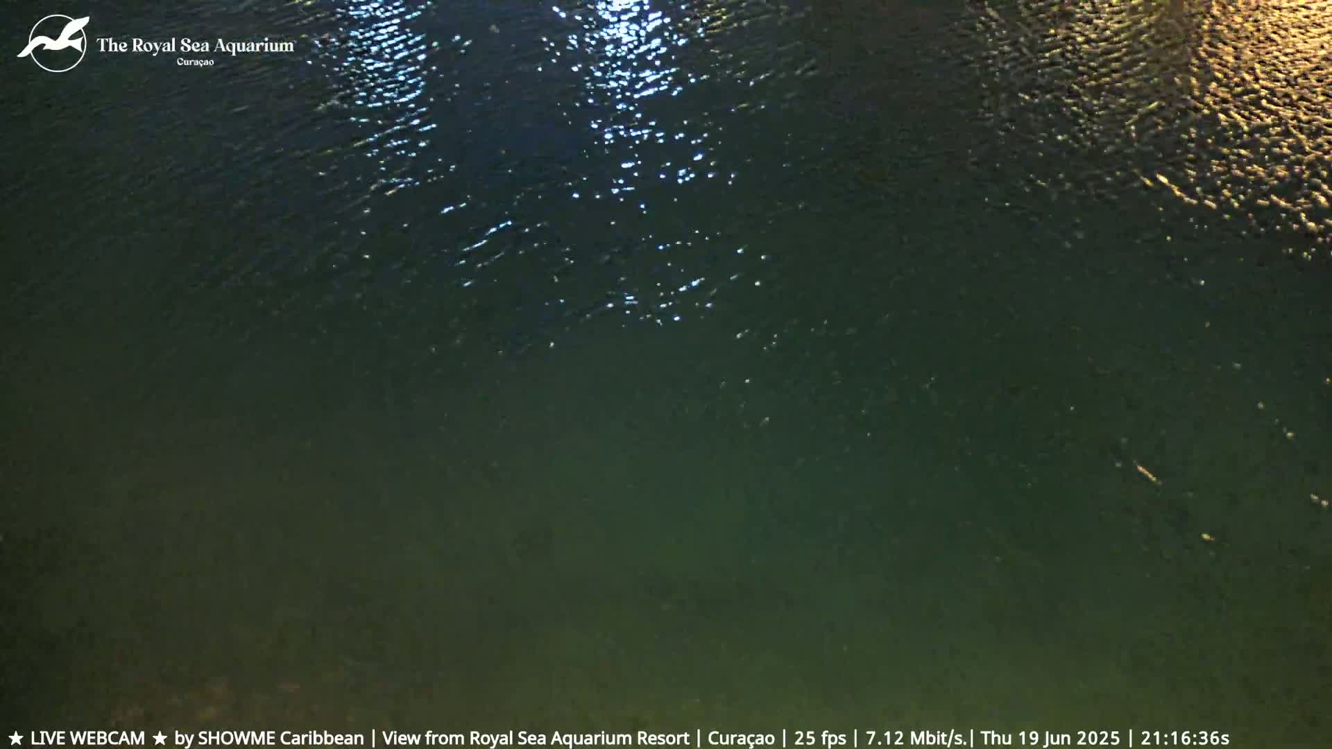 Willemstad, The Royal Sea Aquarium Resort Beach Live Cam - Willemstad, Curacao, Netherland 