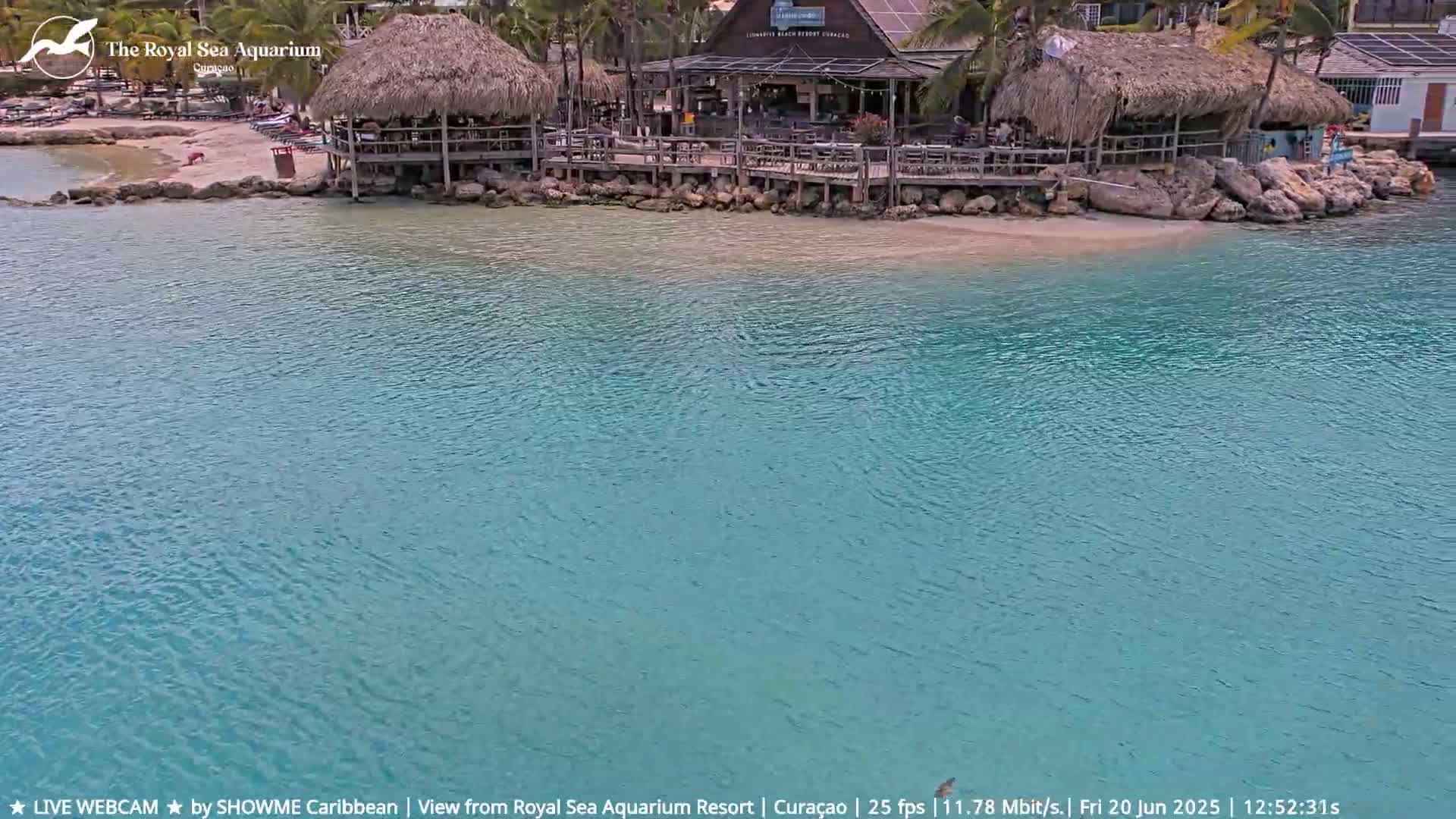 A beachside restaurant with thatched roofs sits on a calm, turquoise body of water.