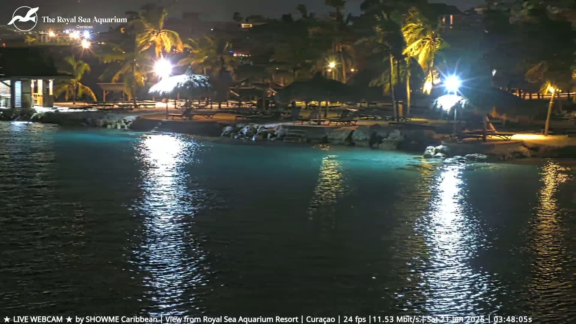 A nighttime view of a calm body of water illuminated by lights along a beach lined with palm trees and lounge chairs.