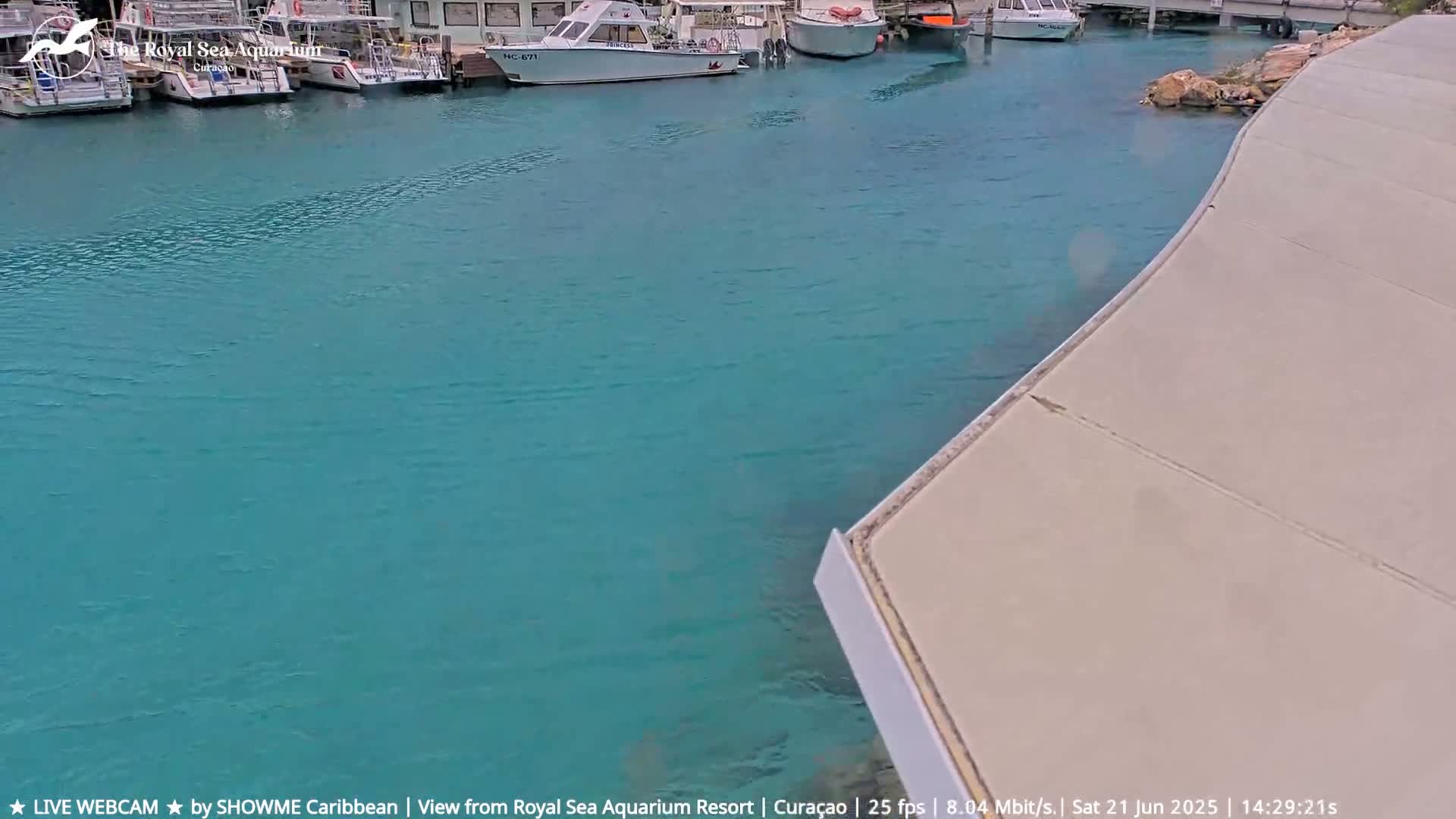 Several boats are moored in calm, turquoise water next to a light-beige concrete walkway.
