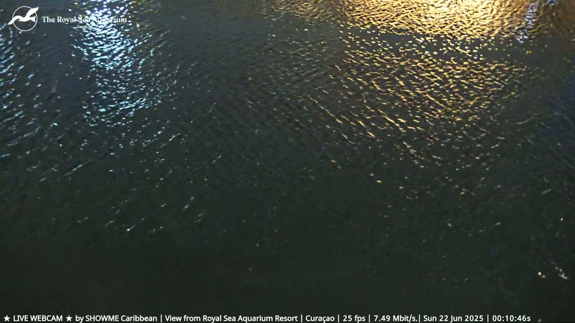 Willemstad, The Royal Sea Aquarium Resort Beach Live Cam - Willemstad, Curacao, Netherland 