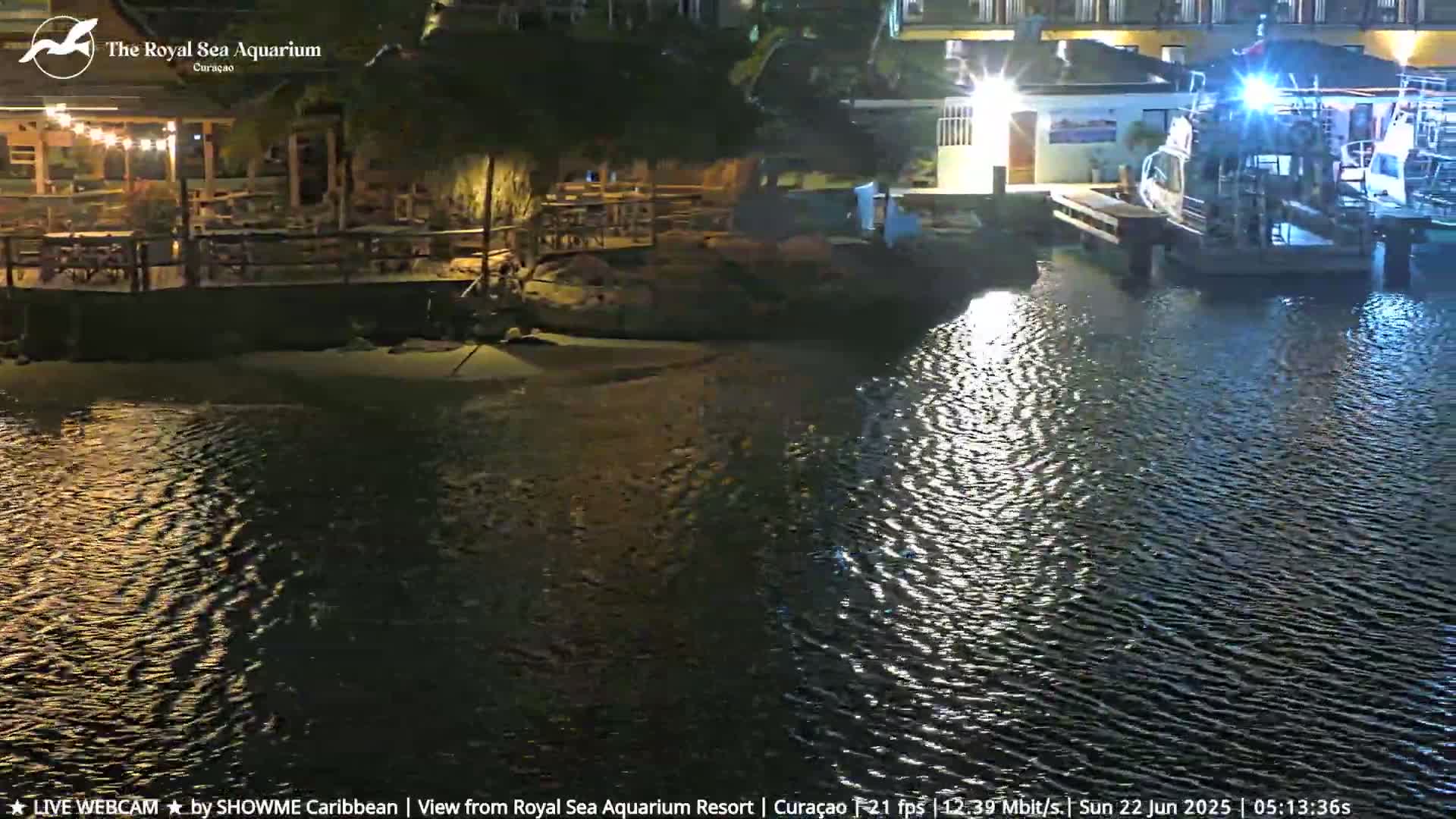A nighttime view of a calm body of water with a restaurant and docked boats.