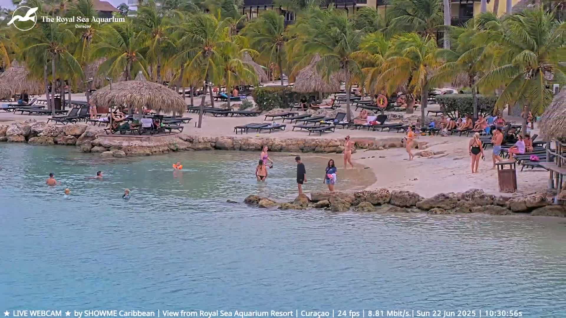 A sunny beach scene shows people relaxing on lounge chairs and swimming in calm, clear water, surrounded by palm trees and thatched-roof structures.