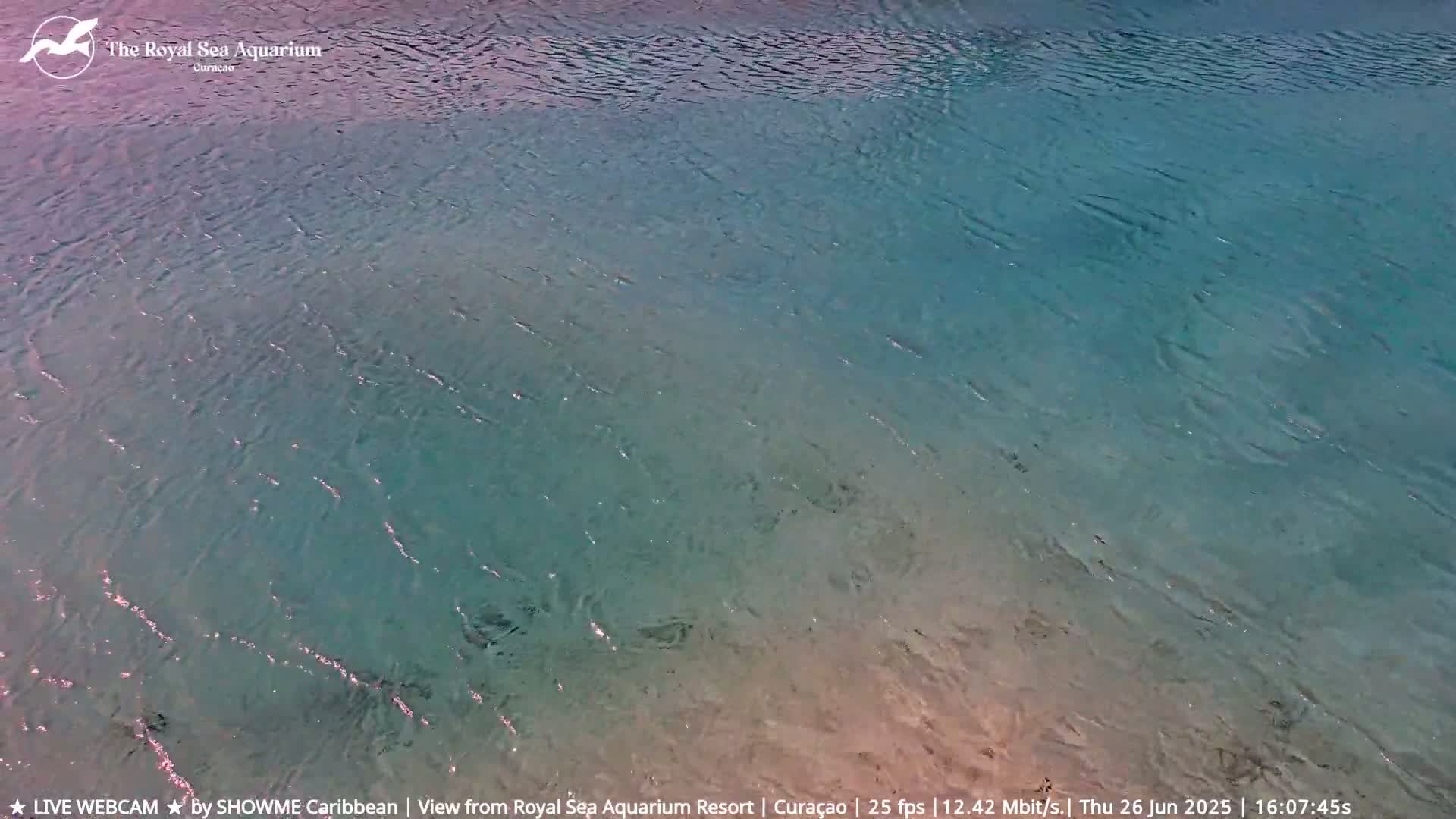 Willemstad, The Royal Sea Aquarium Resort Beach Live Cam - Willemstad, Curacao, Netherland 