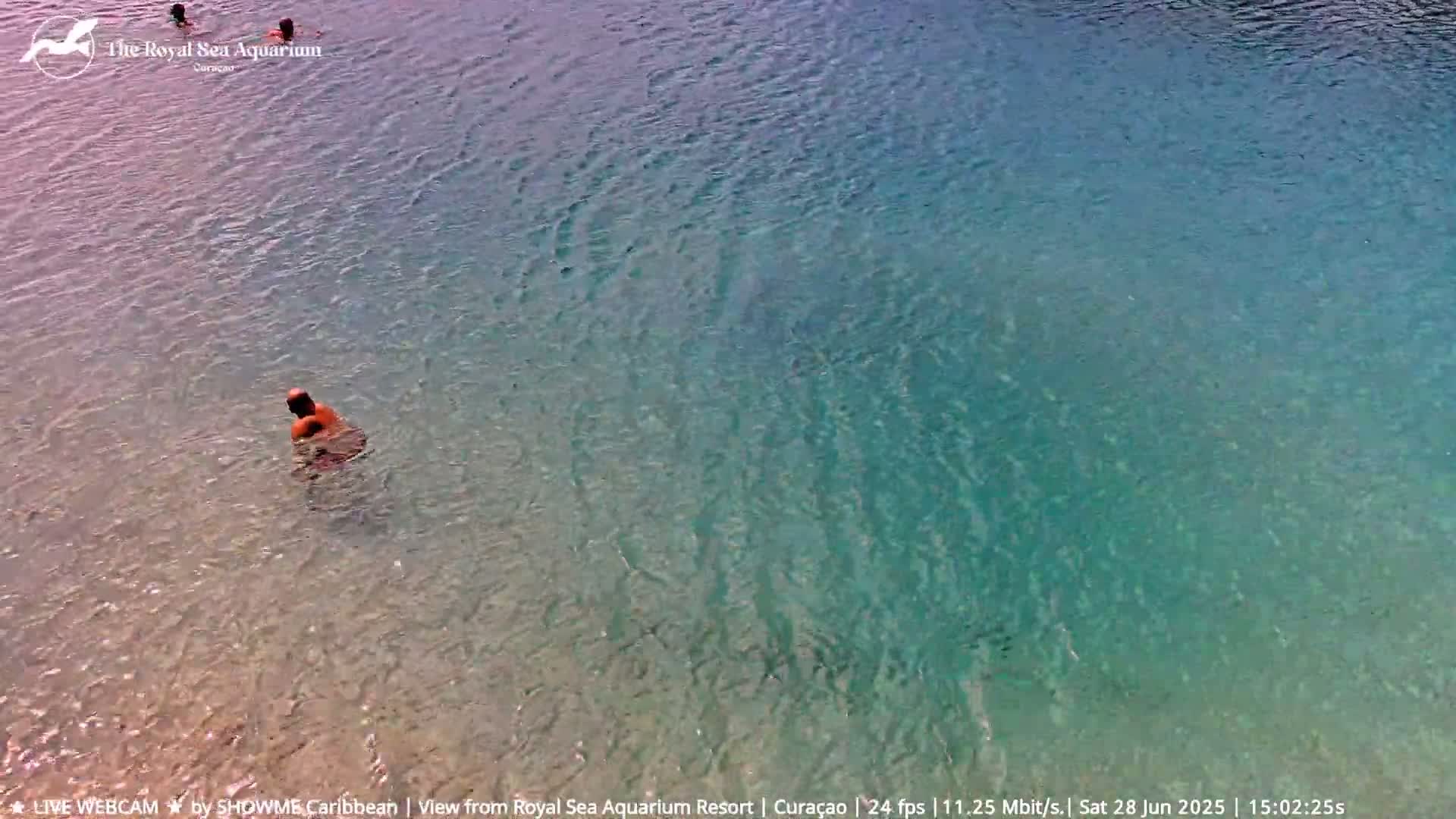 Willemstad, The Royal Sea Aquarium Resort Beach Live Cam - Willemstad, Curacao, Netherland 