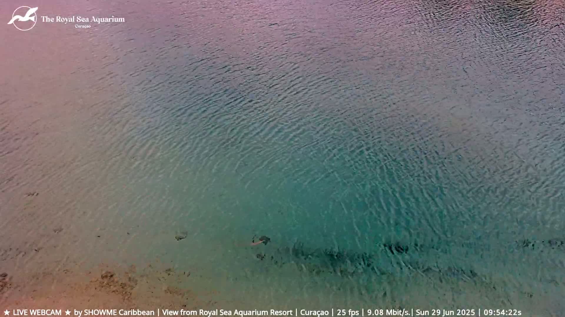 Willemstad, The Royal Sea Aquarium Resort Beach Live Cam - Willemstad, Curacao, Netherland 
