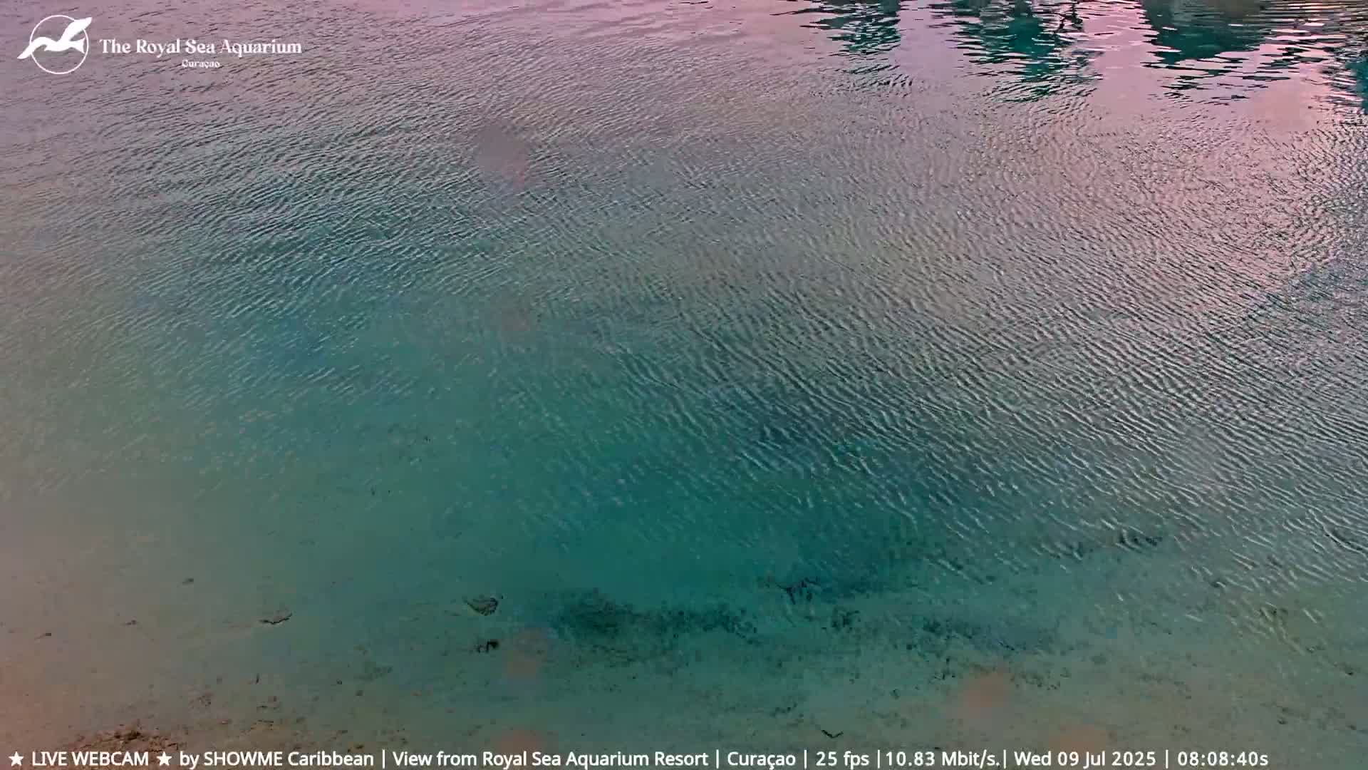 Willemstad, The Royal Sea Aquarium Resort Beach Live Cam - Willemstad, Curacao, Netherland 