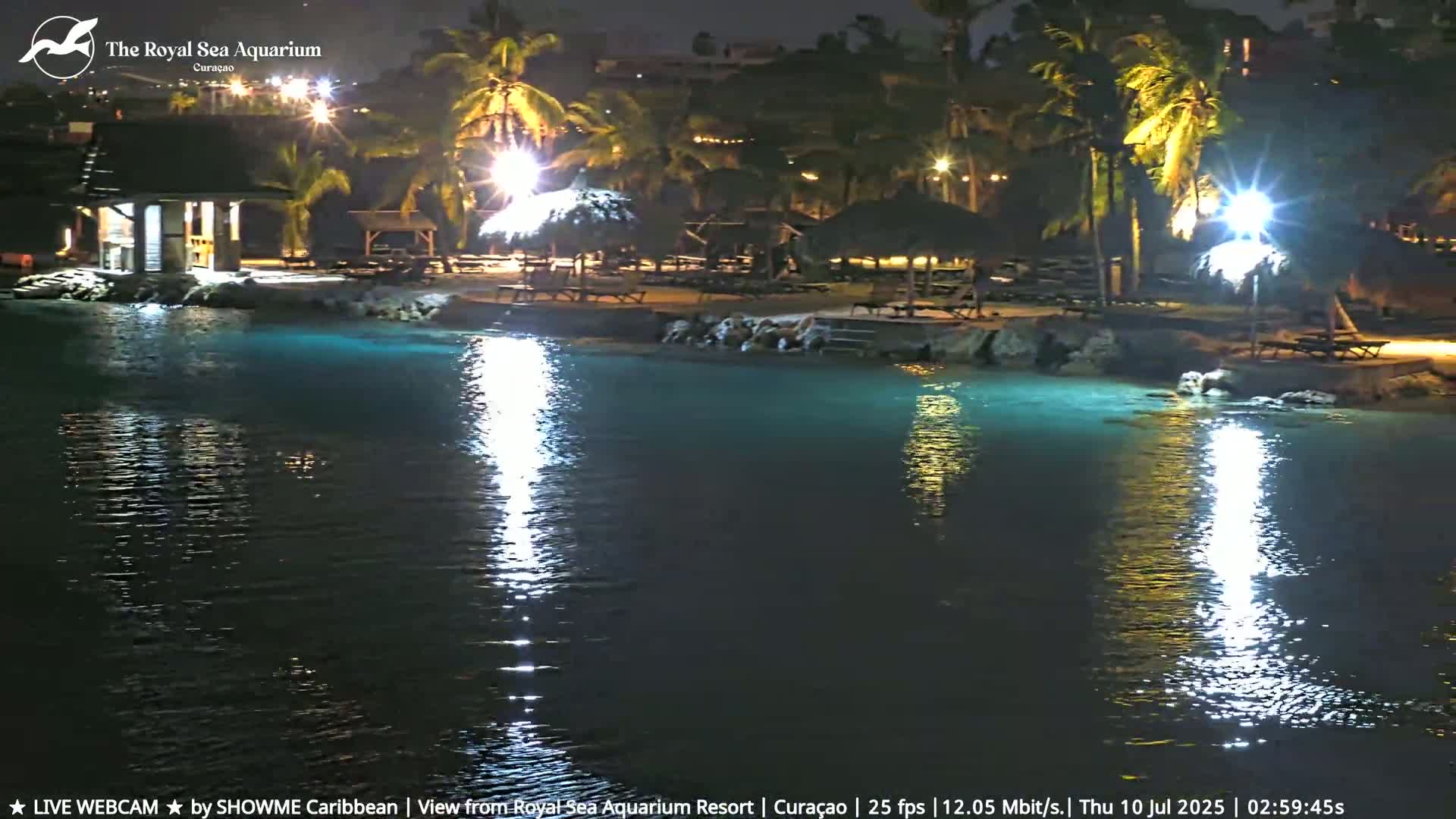 A nighttime view of a calm, illuminated body of water next to a beach with palm trees,  gazebos, and outdoor seating.