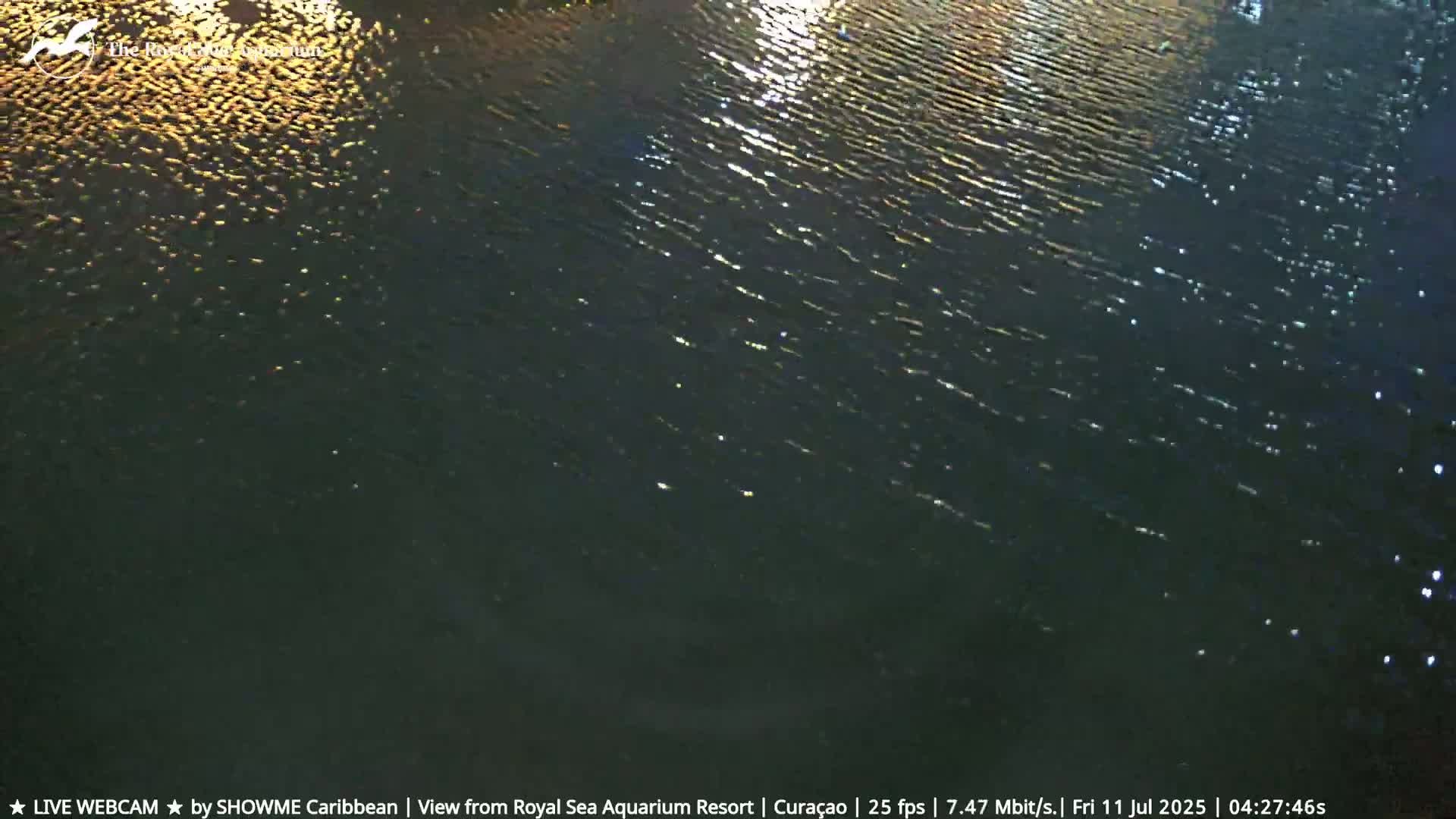 Dark water with small waves reflects light, creating shimmering patterns on the surface at night.