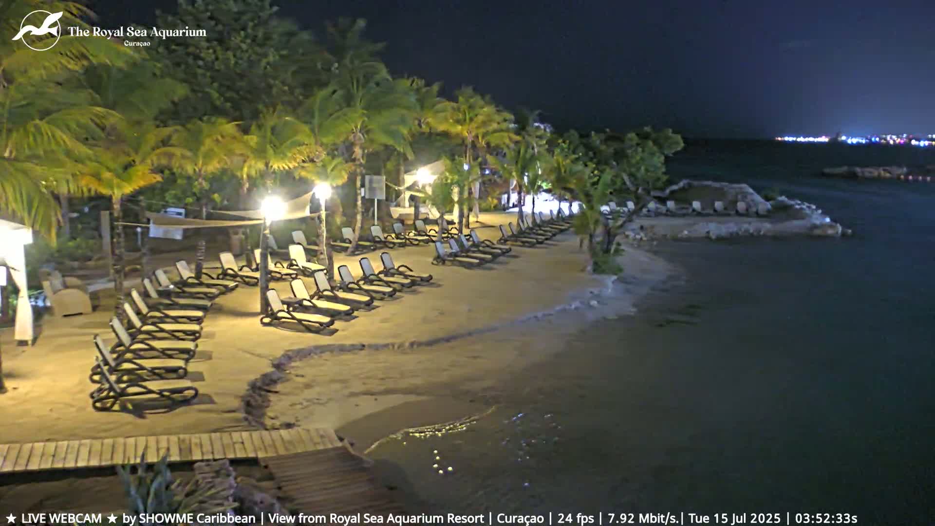 A nighttime beach scene shows a sandy shore lined with empty lounge chairs under palm trees, next to calm dark water.