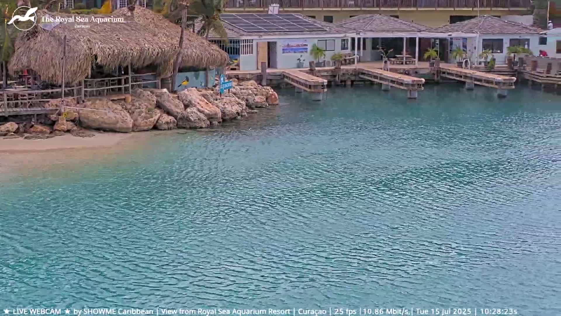 Willemstad, The Royal Sea Aquarium Resort Beach Live Cam - Willemstad, Curacao, Netherland 
