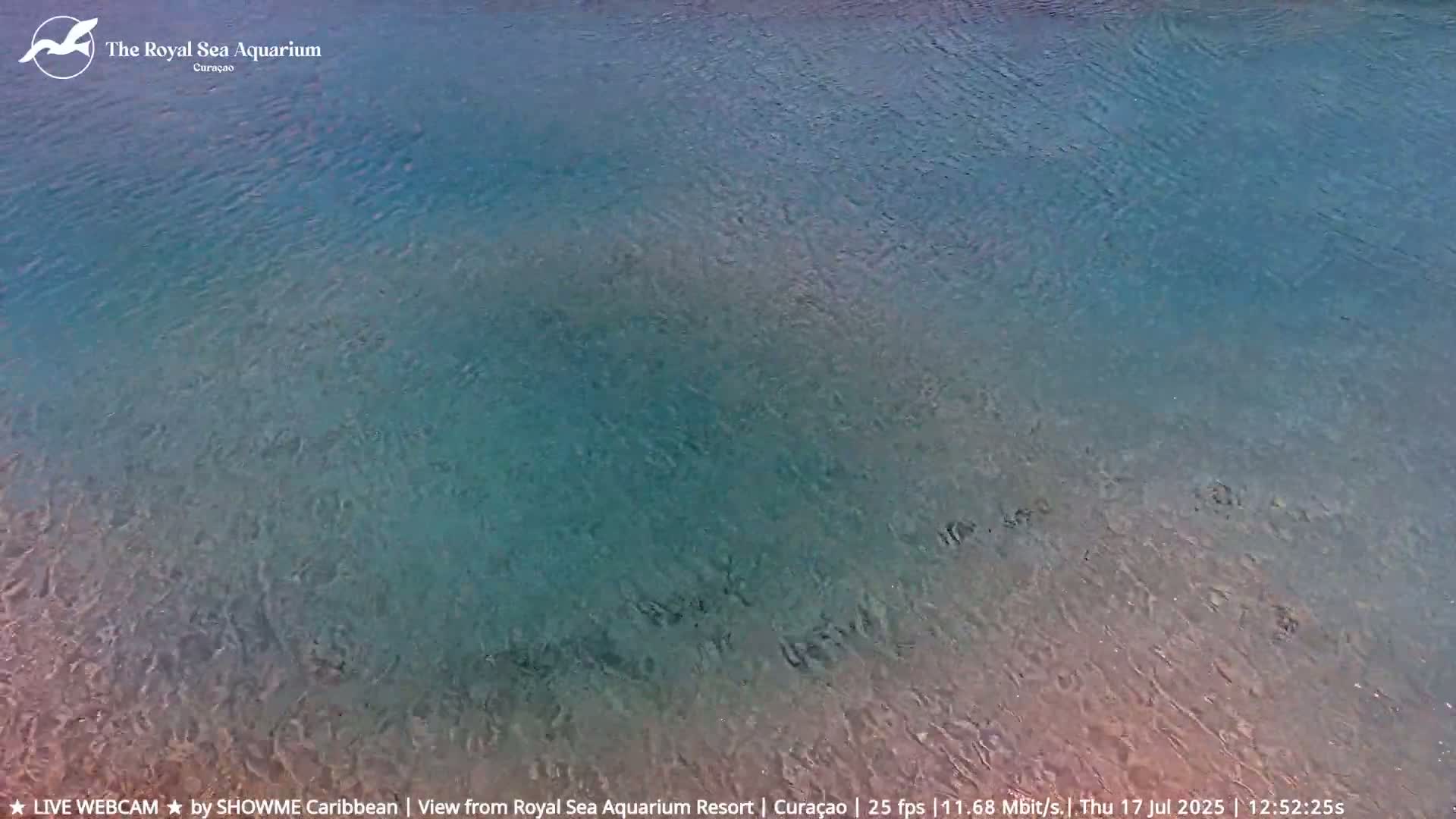 Willemstad, The Royal Sea Aquarium Resort Beach Live Cam - Willemstad, Curacao, Netherland 