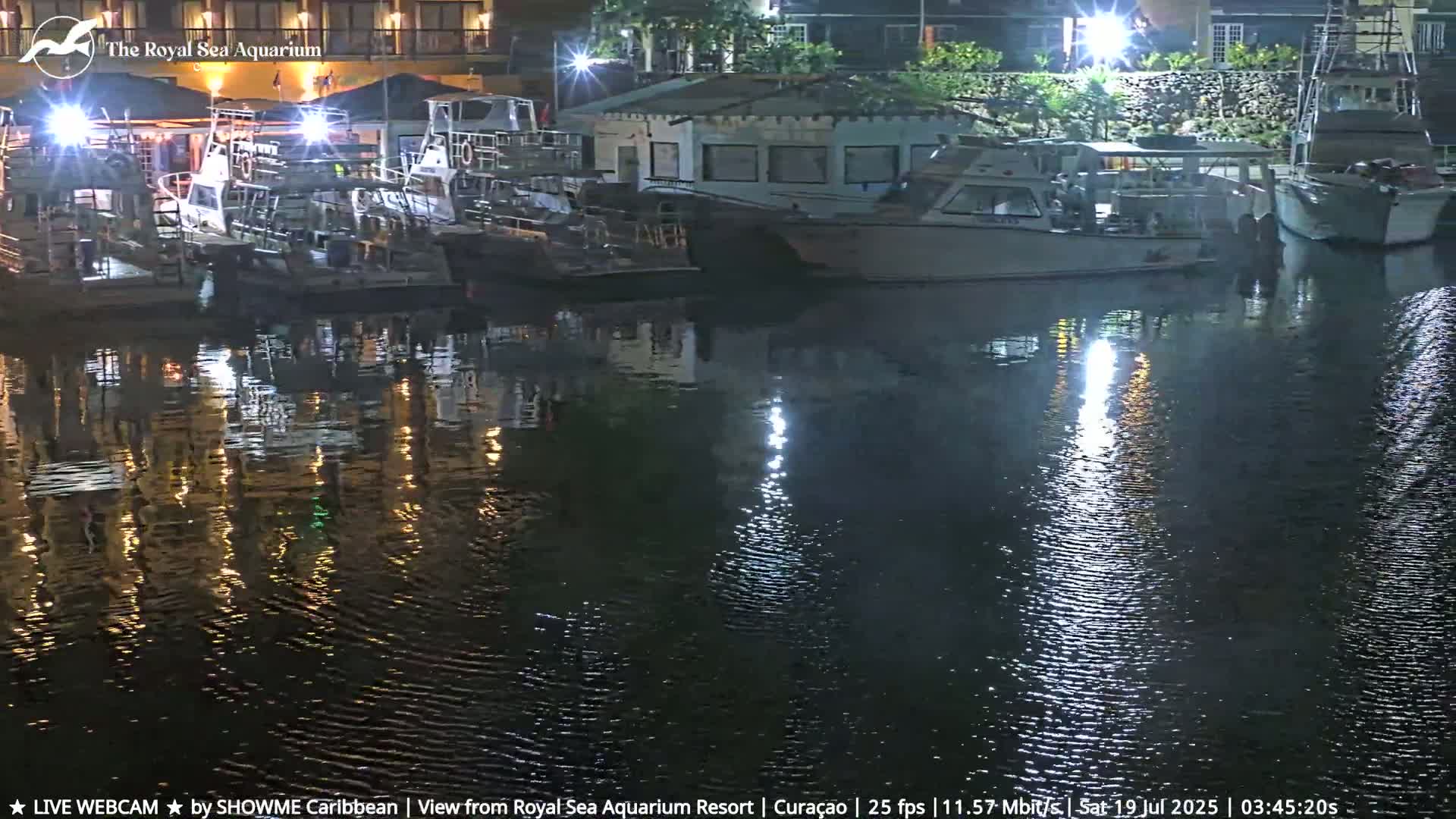 Several boats are moored at a dock at night, their reflections shimmering on the calm water.