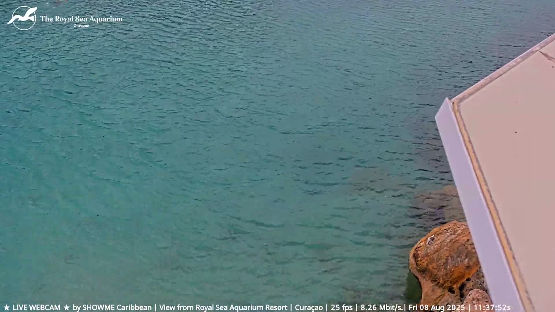 Willemstad, The Royal Sea Aquarium Resort Beach Live Cam - Willemstad, Curacao, Netherland 