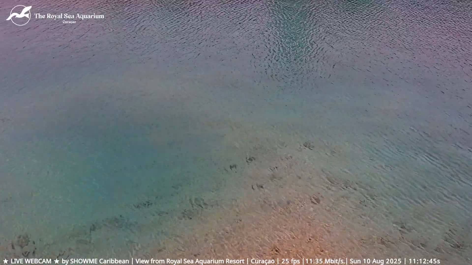 Willemstad, The Royal Sea Aquarium Resort Beach Live Cam - Willemstad, Curacao, Netherland 