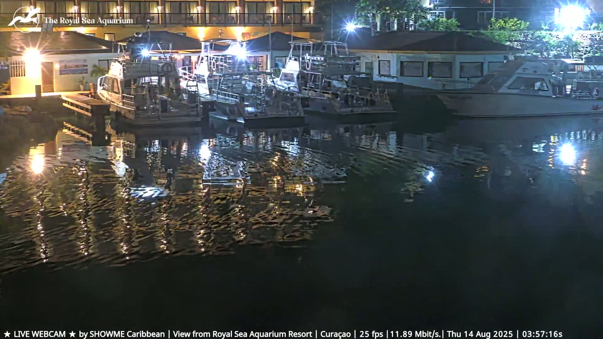 Several boats are docked at a marina at night, their reflections shimmering on the calm water.