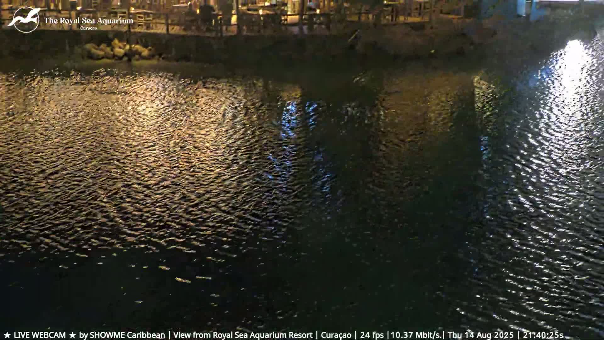 Willemstad, The Royal Sea Aquarium Resort Beach Live Cam - Willemstad, Curacao, Netherland 